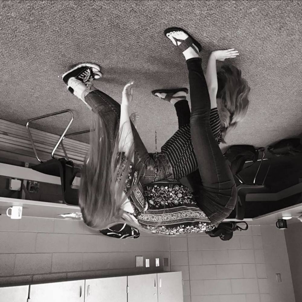 Meet your Posher, Harley